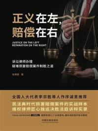 《正义在左,赔偿在右:诉讼律师办理疑难损害赔偿案件制胜之道》-张荣君