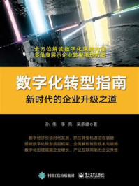 《数字化转型指南:新时代的企业升级之道》-孙伟