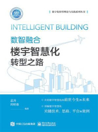 《数智融合:楼宇智慧化转型之路》-孟涛