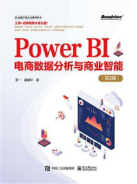 《Power BI电商数据分析与商业智能(第2版)》-零一