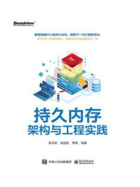 《持久内存架构与工程实践》-李志明
