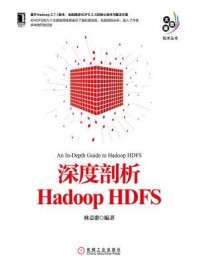 《大数据技术丛书:深度剖析Hadoop HDFS》-林意群