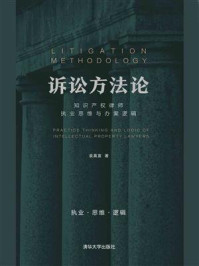 《诉讼方法论:知识产权律师执业思维与办案逻辑》-袁真富
