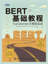 《BERT基础教程:Transformer大模型实战》-苏达哈尔桑·拉维昌迪兰