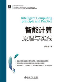 《智能计算:原理与实践》-郭业才