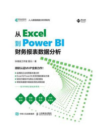 《从Excel到Power BI:财务报表数据分析》-雷元