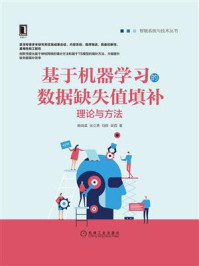 《基于机器学习的数据缺失值填补:理论与方法》-赖晓晨