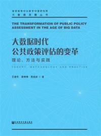 《大数据时代公共政策评估的变革:理论、方法与实践(大数据发展丛书)》-王建冬
