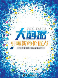 《大数据:引爆新的价值点》-孙静