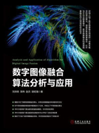 《数字图像融合算法分析与应用》-刘帅奇-mobi、epub、azw3、pdf电子书免费下载/宝阳读书小站
