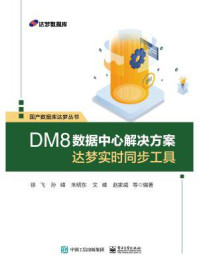《DM8数据中心解决方案:达梦实时同步工具》-徐飞