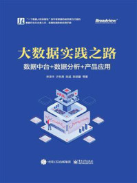 《大数据实践之路:数据中台+数据分析+产品应用》-林泽丰