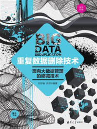《重复数据删除技术:面向大数据管理的缩减技术》-付印金-mobi、epub、azw3、pdf电子书免费下载/宝阳读书小站