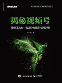 《揭秘视频号:像搭积木一样拼出爆款短视频》-卢大叔