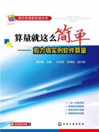 《算量就这么简单:剪力墙实例软件算量》-阎俊爱