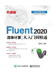 《Fluent 2020流体计算从入门到精通(升级版)》-凌桂龙