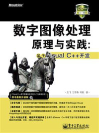 《数字图像处理原理与实践:基于Visual C++开发》-左飞