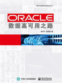 《ORACLE数据高可用之路》-贾代平-mobi、epub、azw3、pdf电子书免费下载/宝阳读书小站