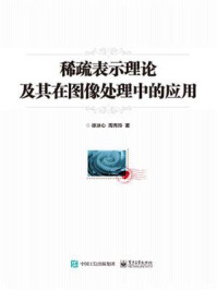 《稀疏表示理论及其在图像处理中的应用》-徐冰心