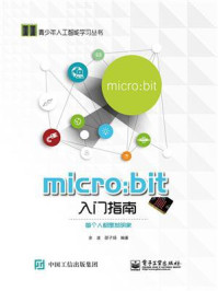《micro:bit 入门指南》-余波