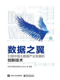 《数据之翼:引领中国大数据产业发展的创新技术》-《软件和集成电路》杂志社
