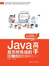 《Java高手是怎样炼成的:原理、方法与实践》-高永强