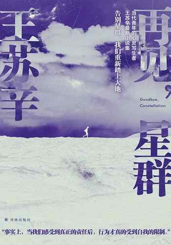 《再见,星群》-王苏辛