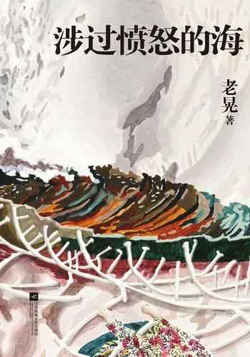 《涉过愤怒的海》-老晃
