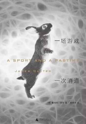 《一场游戏一次消遣》-詹姆斯·索特