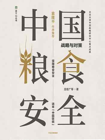 《中国粮食安全》-战略与对策