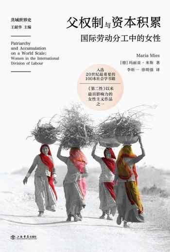 《父权制与资本积累:国际劳动分工中的女性》-玛丽亚·米斯