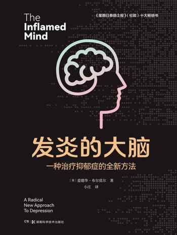 《发炎的大脑:一种治疗抑郁症的全新方法》-爱德华·布尔莫尔