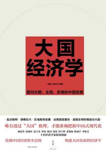 《大国经济学:面向长期、全局、多维的中国发展》-陆铭领衔