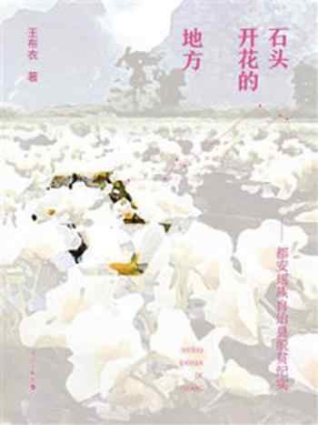 《石头开花的地方:都安瑶族自治县脱贫纪实》-王布衣