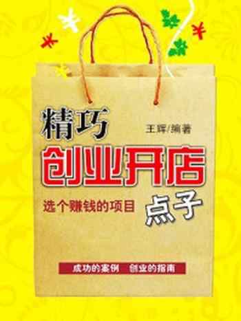 《精巧创业开店点子》-王辉