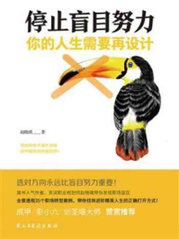 《停止盲目努力:你的人生需要再设计》-赵晓璃