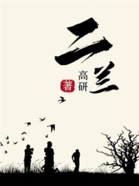 《二兰》-高研