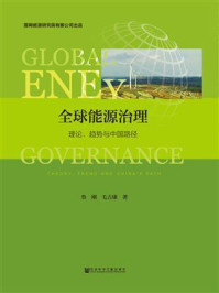 《全球能源治理:理论、趋势与中国路径》-鲁刚