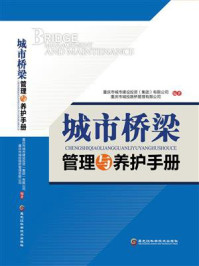 《城市桥梁管理与养护手册》-重庆市城市建设投资(集团)有限公司