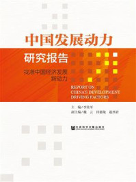 《中国发展动力研究报告:找准中国经济发展新动力》-李佐军,魏云,田惠敏,赵西君