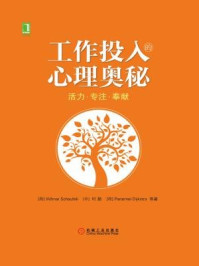 《工作投入的心理奥秘:活力·专注·奉献》-Wilmar Schaufeli