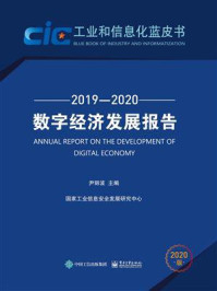《数字经济发展报告(2019—2020)》-尹丽波