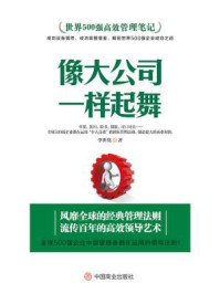 《世界500强高效管理笔记:像大公司一样起舞》-李世化