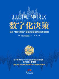 《数字化决策：运用“数字化矩阵”实现企业转型的系统决策原则》-[美]文卡·文卡查曼