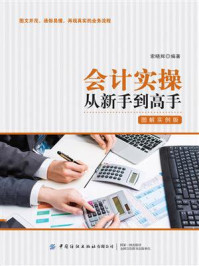 《会计实操从新手到高手:图解实例版》-索晓辉