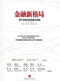 《金融新格局:资产证券化的突破与创新》-林华