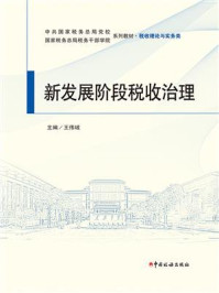 《新发展阶段税收治理》-王伟域