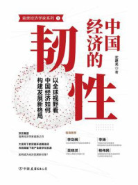 《中国经济的韧性:以全球视野看中国经济如何构建发展新格局》-沈建光