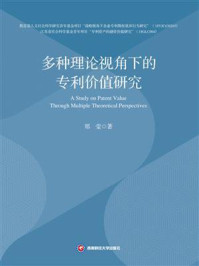 《多种理论视角下的专利价值研究》-郑莹