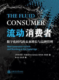 《流动消费者:数字化时代的未来增长与品牌管理》-特奥·科雷亚